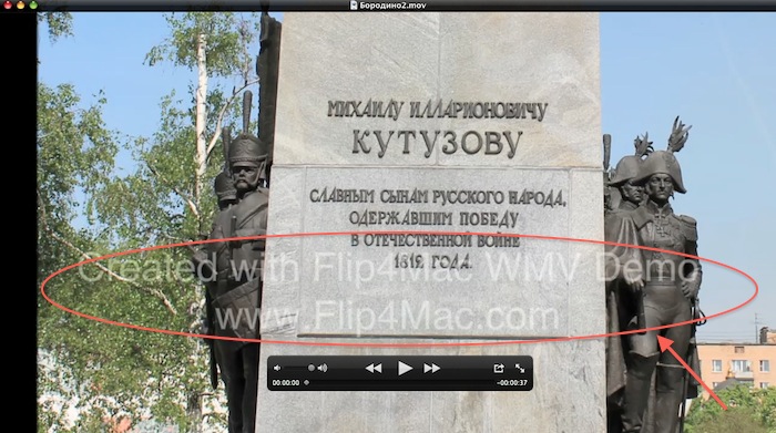Как убрать надпись Flip4mac в Imovie